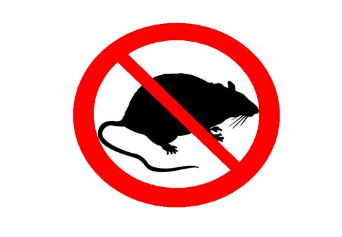 LOGO RATAS