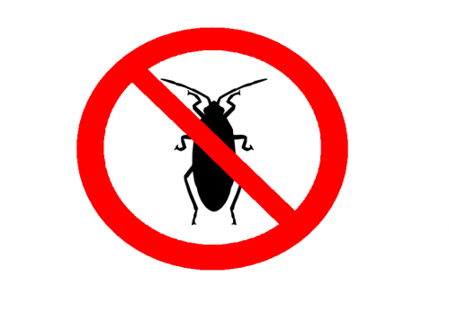 LOGO CUCARACHA