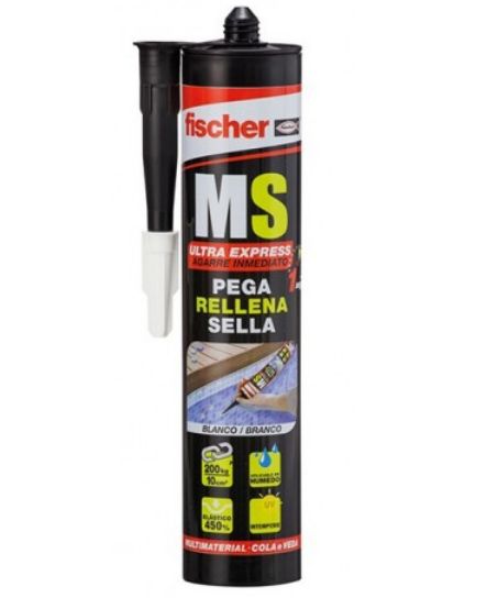 FISCHER MS FISCHER MS