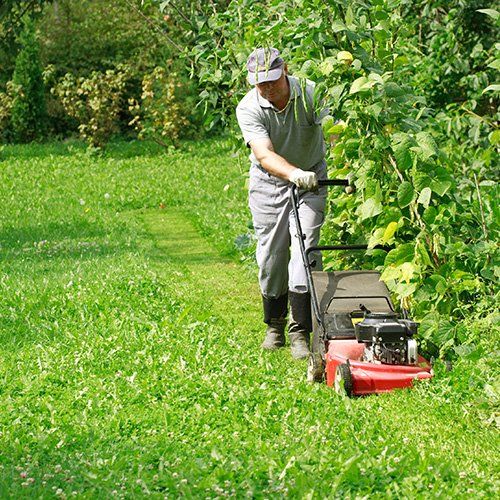 Jardinería y poda