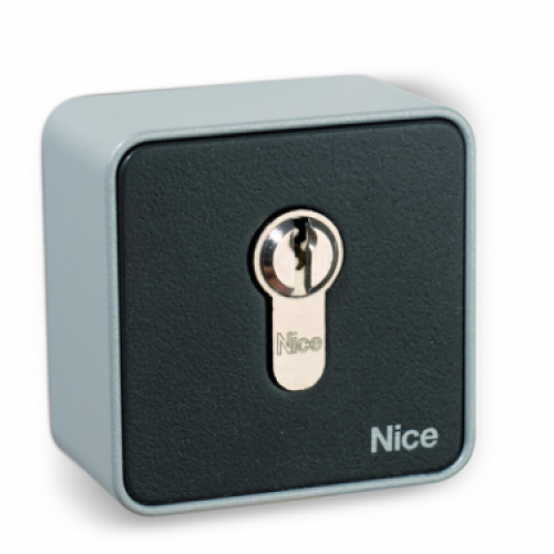 NICE EKSEU